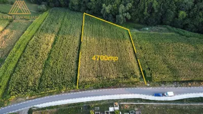Teren intravilan 4600mp Ipotesti - foto 6