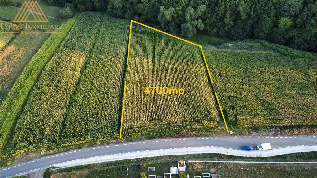 Teren intravilan 4600mp Ipotesti - foto 6