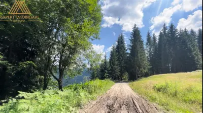 Cabana Ursului de vanzare - foto 5