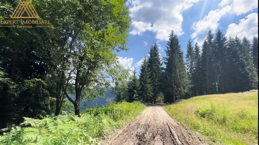 Cabana Ursului de vanzare - foto 5