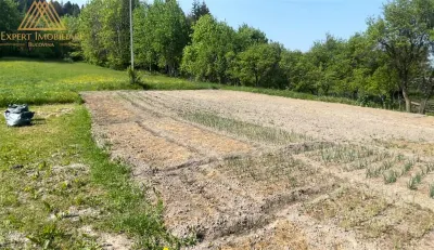 Casa  din Bucovina teren 7000mp pretabil pensiune - foto 14