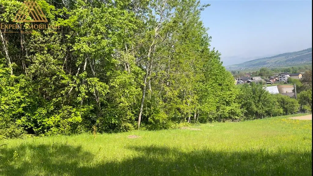 Casa  din Bucovina teren 7000mp pretabil pensiune - foto 16