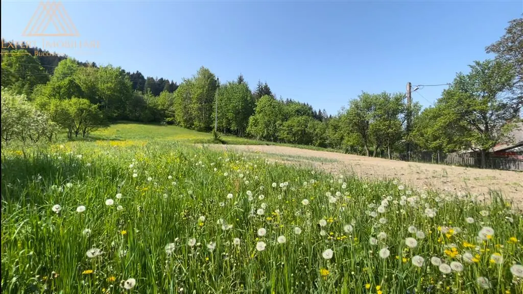 Casa  din Bucovina teren 7000mp pretabil pensiune - foto 18