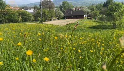 Casa  din Bucovina teren 7000mp pretabil pensiune - foto 19
