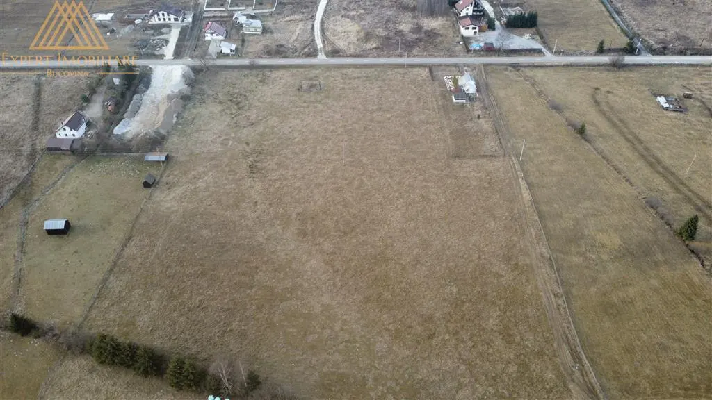 Teren 6440 mp in Sarul Dornei 4 Euro / mp URGENT - foto 3