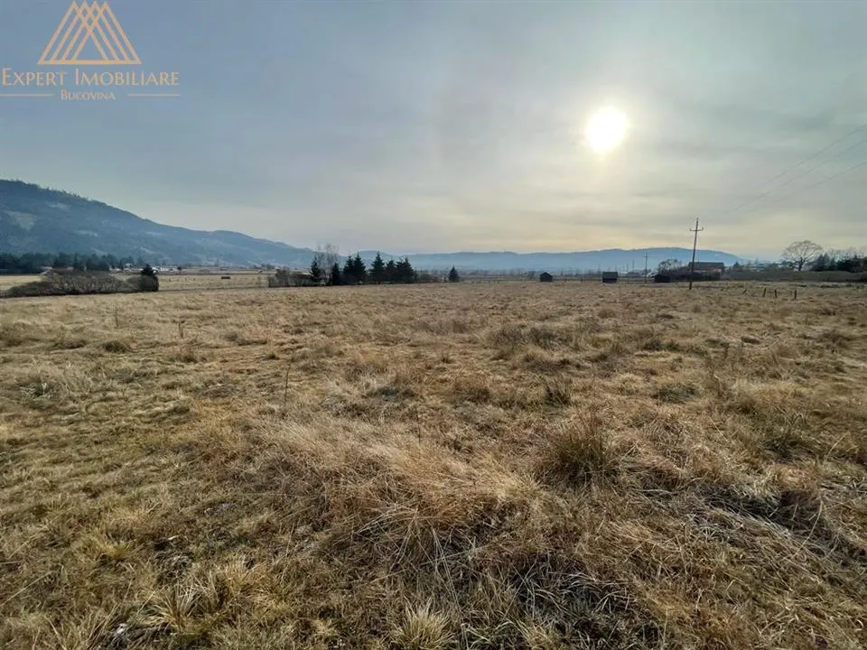 Teren 6440 mp in Sarul Dornei 4 Euro / mp URGENT - foto 4