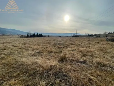 Teren 6440 mp in Sarul Dornei 4 Euro / mp URGENT - foto 10