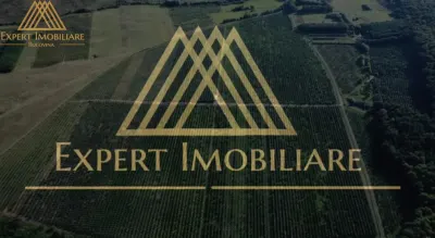 Livada 30 de hectare, meri, prun, par - Botosani