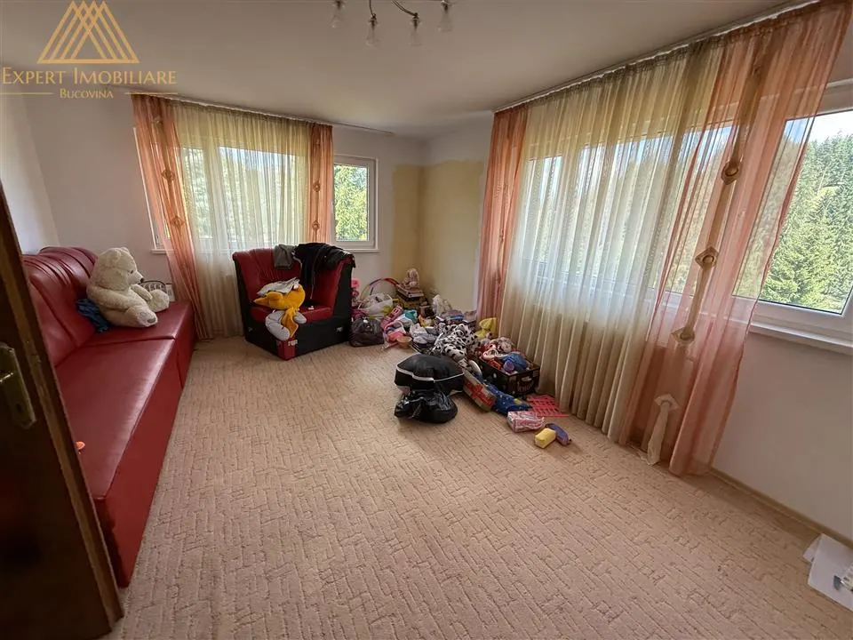Casa Pensiune  Nordul Dornelor - foto 13