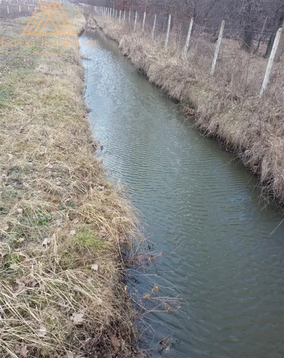 Teren extravilan comasat 9 hectare cu plantatie  3 Euro pe m2 Suceava - foto 11