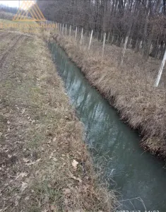 Teren extravilan comasat 9 hectare cu plantatie  3 Euro pe m2 Suceava - foto 12