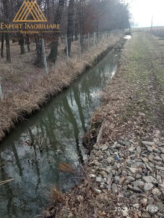 Teren extravilan comasat 9 hectare cu plantatie  3 Euro pe m2 Suceava - foto 13