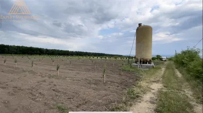 Teren extravilan comasat 9 hectare cu plantatie  3 Euro pe m2 Suceava - foto 15
