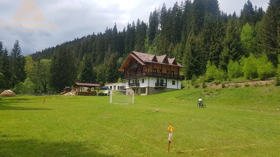 Cabana  Elvetiana din Bucovina - 14 camere - foto 10