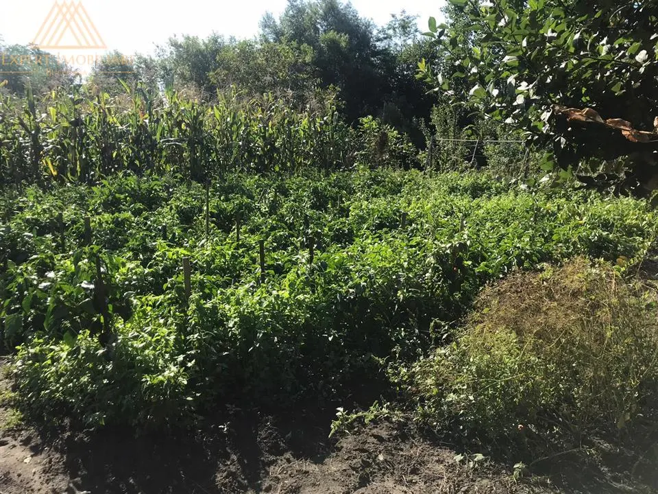 Casa de la Zvoristea - foto 12