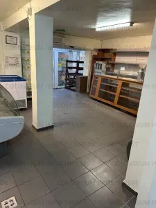 Apartament 4 camere, 2 bai, transformat in spatiu comercial - zona Noua - Brasov