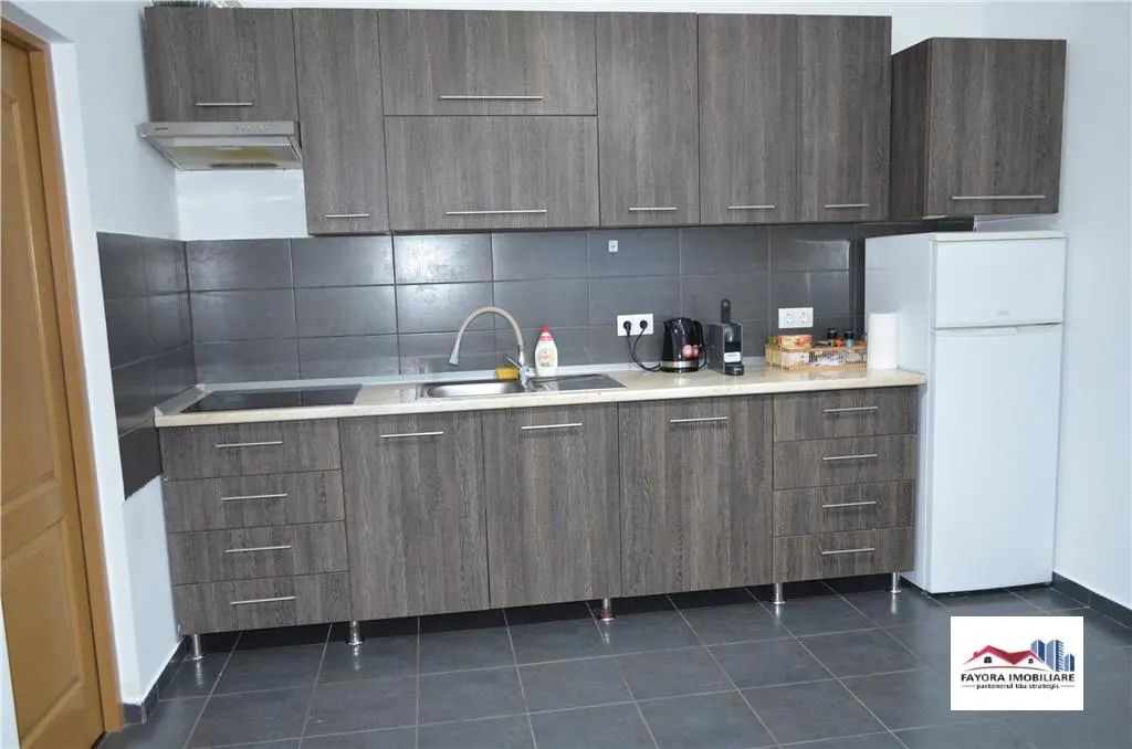 Apartament 1 Camera si Parcare Privata Inclusa de Inchiriat Zona Ultracentrala - foto 4