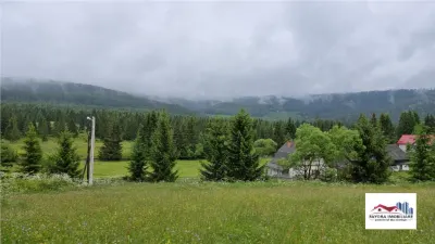 Oportunitate de Investitie Turistica intre Borsec si Toplita - foto 7