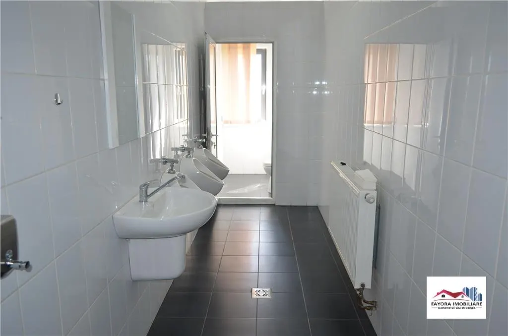 Hala de Productie de Inchiriat Zona Vidrasau - foto 10