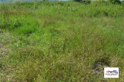 Teren de Inchiriat in Zona Industriala - Vidrasau