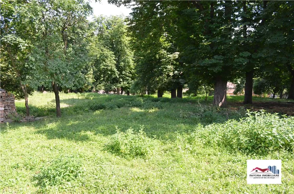 Teren si Casa de Vanzare Ideal pentru Investitie in Paingeni - foto 2
