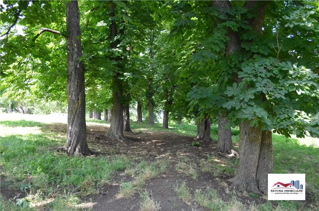 Teren si Casa de Vanzare Ideal pentru Investitie in Paingeni - foto 5