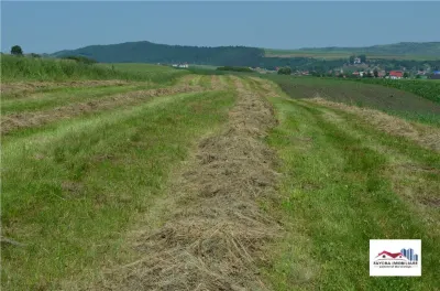 Teren de Vanzare in Voiniceni - Voiniceni