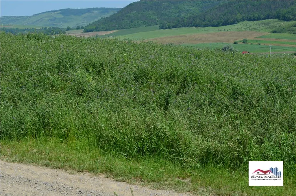 Teren de Vanzare in Voiniceni - foto 2