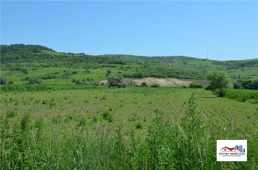 Teren de Vanzare la intrarea in Bardesti - foto 2