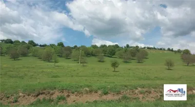 Teren de Vanzare in Zona Berghia - Berghia