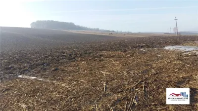 Teren pentru investitii de Vanzare in Ivanesti - Ivanesti