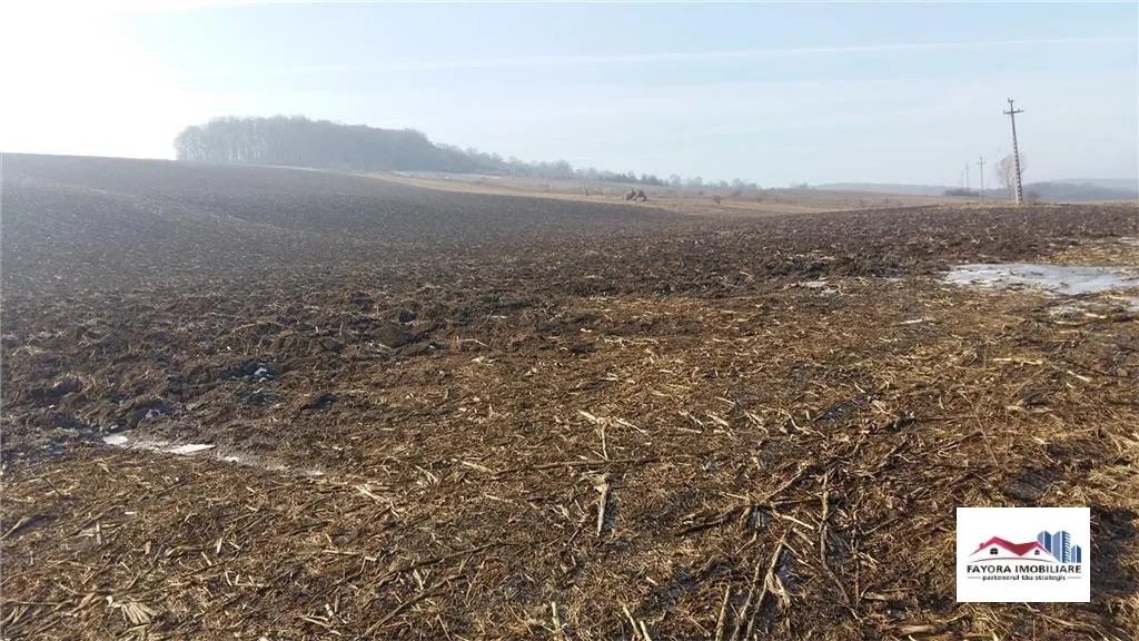 Teren pentru investitii de Vanzare in Ivanesti - foto 1