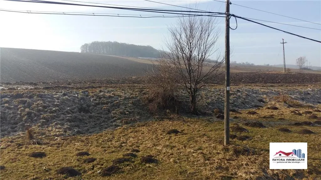 Teren pentru investitii de Vanzare in Ivanesti - foto 2