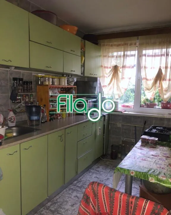 Apartament 3 camere Dristor, Camil Ressu - foto 2