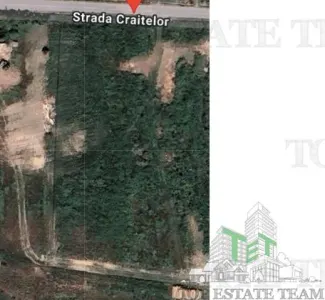 Teren intravilan 5.600 mp în Pantelimon, Constanta ideal investitie sau constructii - Pantelimon