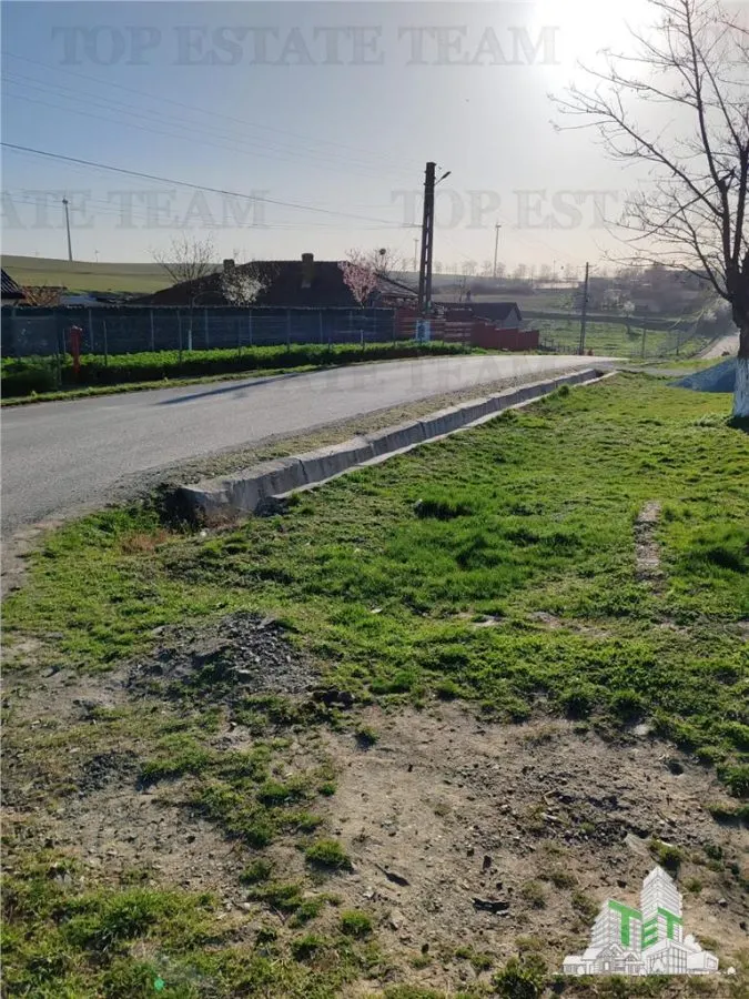 Teren intravilan 5.600 mp în Pantelimon, Constanta ideal investitie sau constructii - foto 3