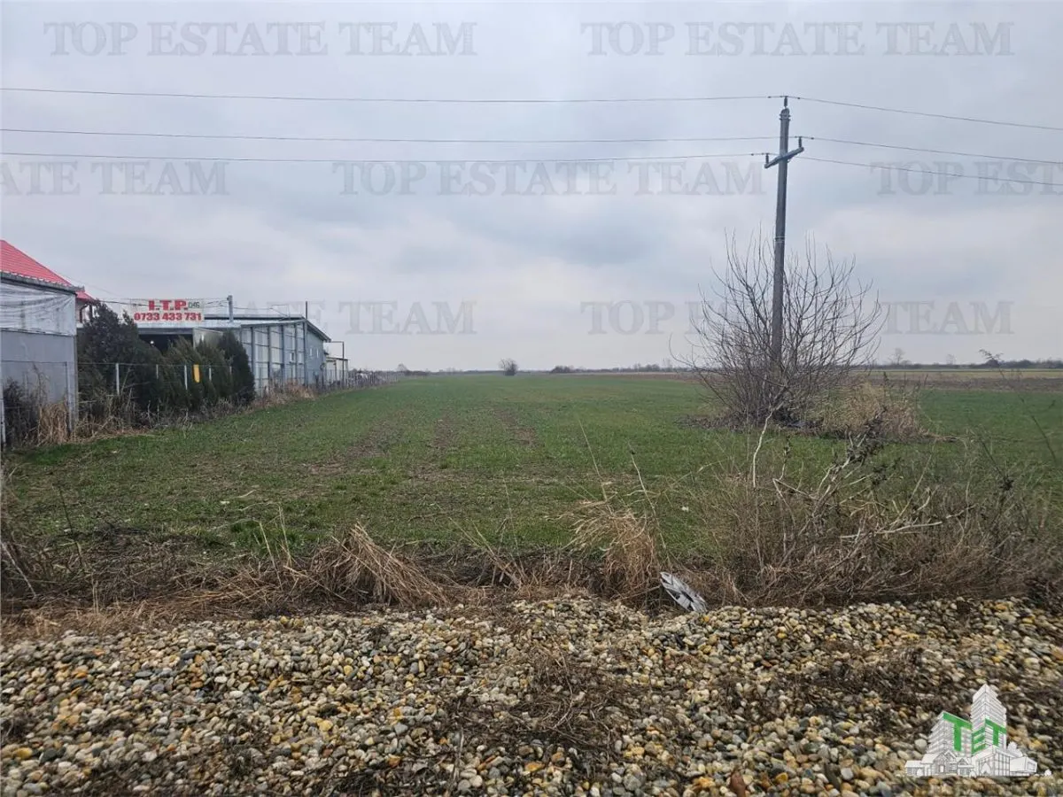 Teren comercial 7169mp la baza nod km35 pe A1 - foto 3