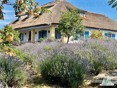 Resort Delta Dunarii | 21 camere | 18 unitati cazare | aproape de Marea Neagra - foto 14