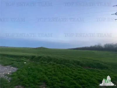 Teren intravilan 15000 mp Costinesti, Constanta - Costinesti