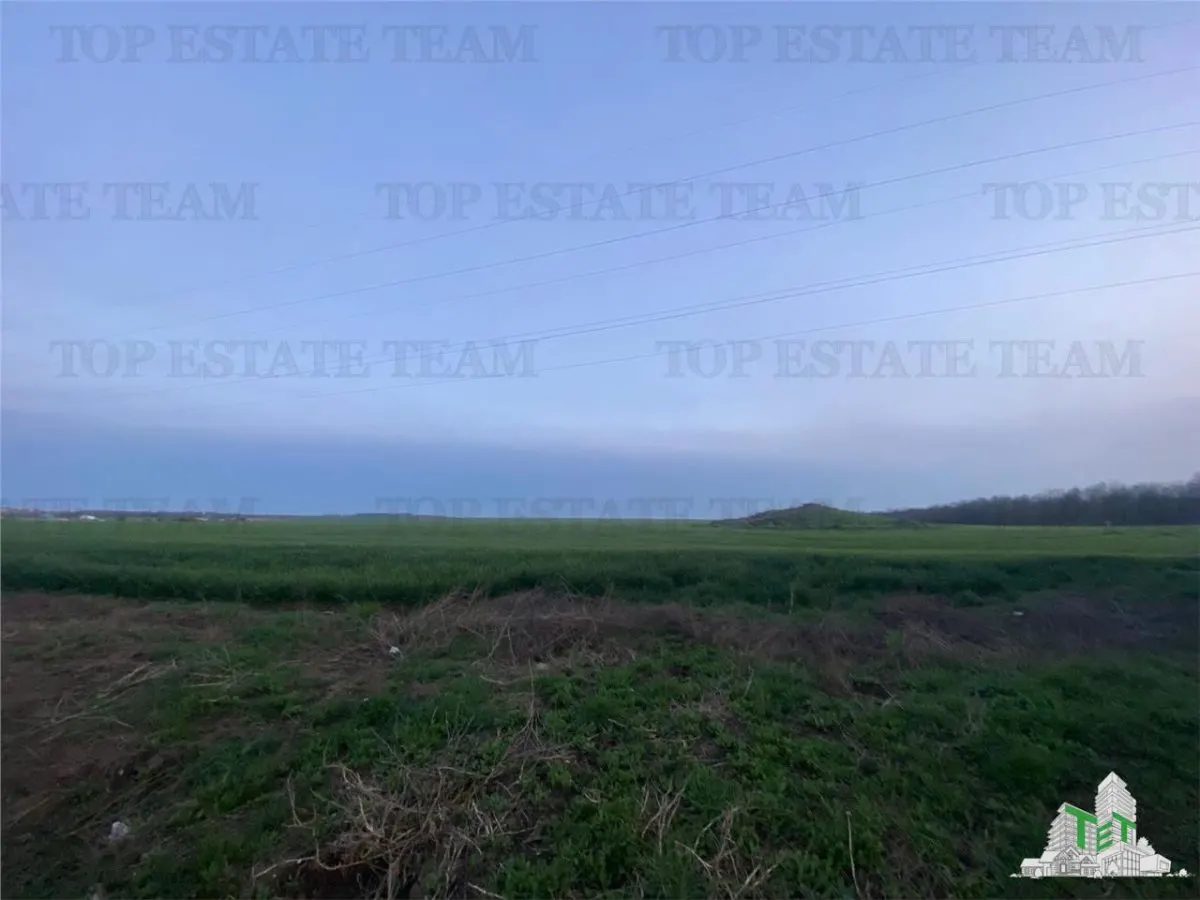 Teren intravilan 15000 mp Costinesti, Constanta - foto 4