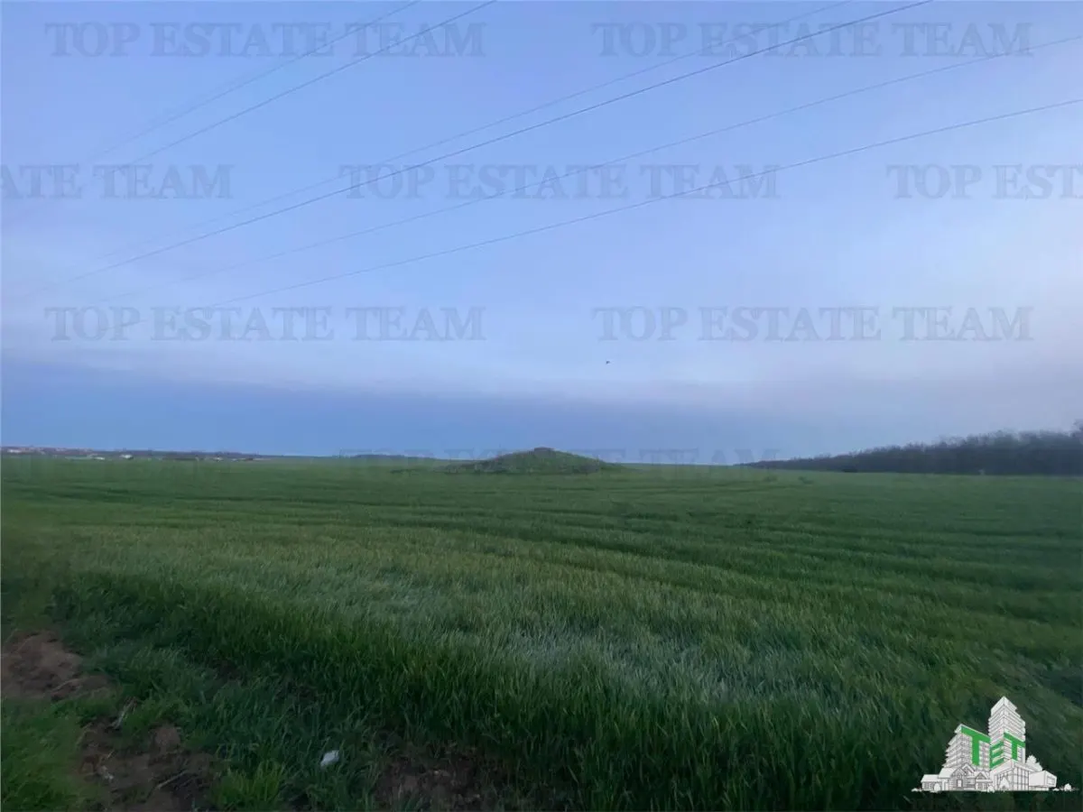 Teren intravilan 15000 mp Costinesti, Constanta - foto 7