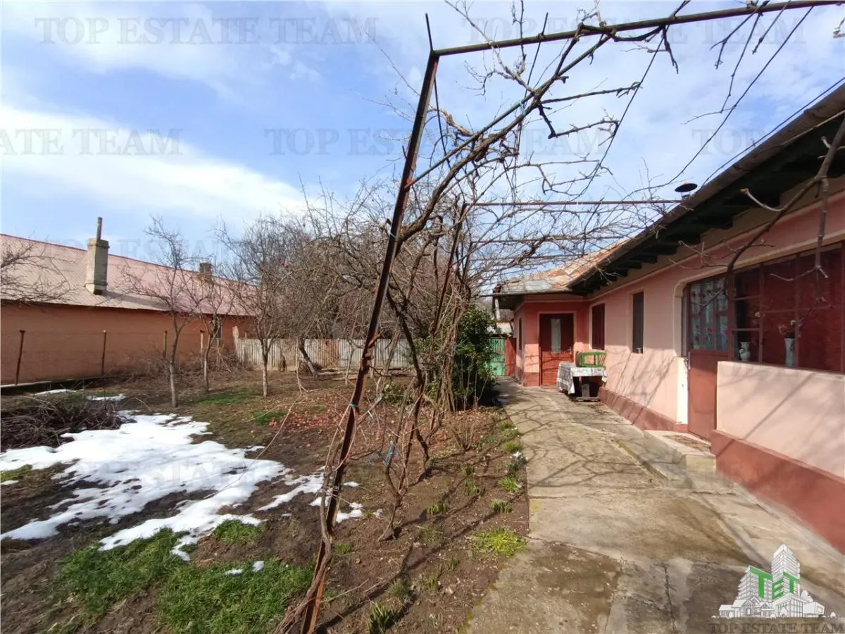 Casa taraneasca traditionala pe parter cu gradina si livada 1700mp in Gruiu, la 10 min de DN1 si la 4 min de A3. - foto 3