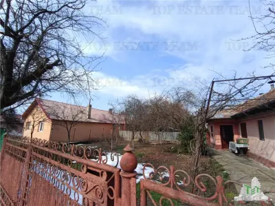 Casa taraneasca traditionala pe parter cu gradina si livada 1700mp in Gruiu, la 10 min de DN1 si la 4 min de A3. - foto 5