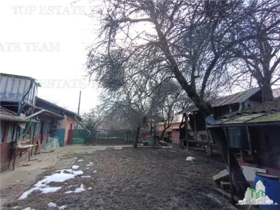 Casa taraneasca traditionala pe parter cu gradina si livada 1700mp in Gruiu, la 10 min de DN1 si la 4 min de A3. - foto 8