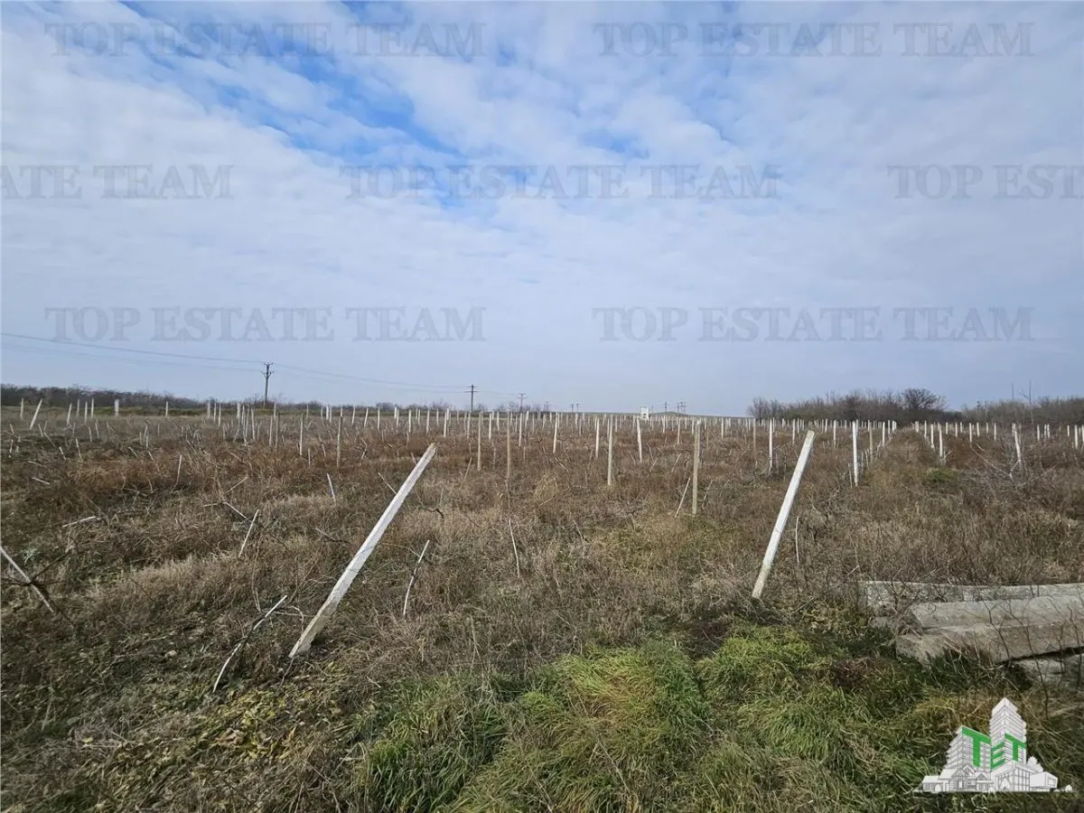 Teren intravilan cu deschidere la DNE, Harsova - foto 4