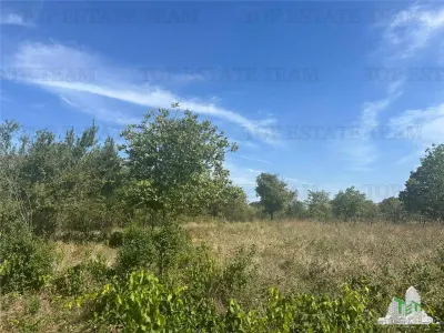 Vanzare teren intravilan construibil in Branesti, Ilfov - 2040 mp, ideal rezidenta sau investitie, scadere de pret. - foto 3