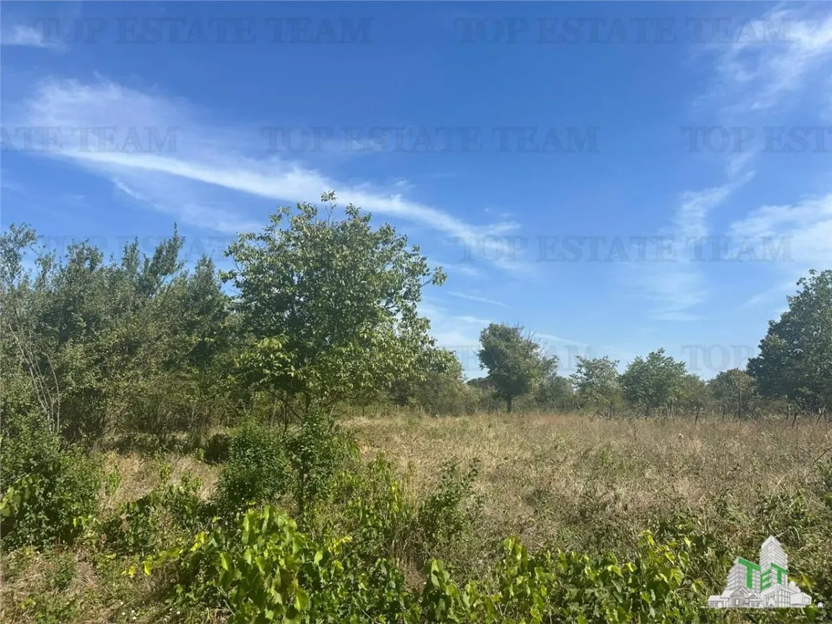 Vanzare teren intravilan construibil in Branesti, Ilfov - 2040 mp, ideal rezidenta sau investitie, scadere de pret. - foto 3