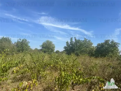 Vanzare teren intravilan construibil, in Branesti-Ilfov, 1330 mp, ideal rezidenta sau investitie, scadere de pret. - foto 2