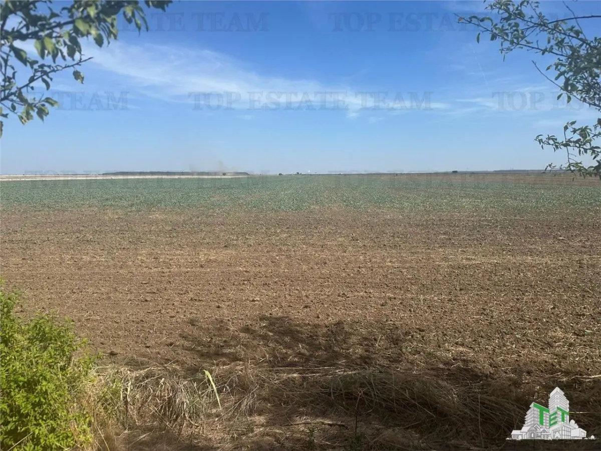 Vanzare teren intravilan construibil, in Branesti-Ilfov, 1330 mp, ideal rezidenta sau investitie, scadere de pret. - foto 3