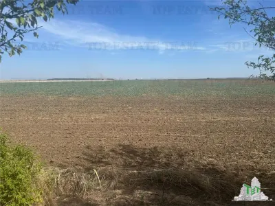 Vanzare teren intravilan construibil, Branesti-Ilfov, 5000 mp, ideal rezidenta, investitie majora - Branesti